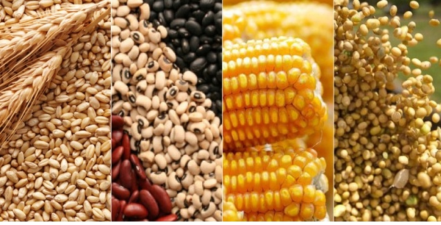 Efficient Agro Aduana - Assessoria em Importao / Exportao de Sementes e Mudas