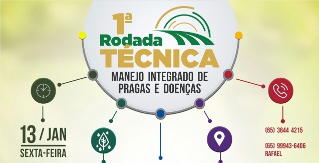 Efficient Agro Aduana - Assessoria em Importao / Exportao de Sementes e Mudas